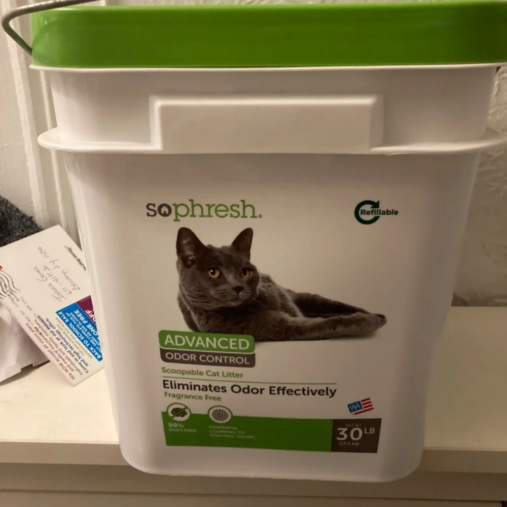 Kitten owner?